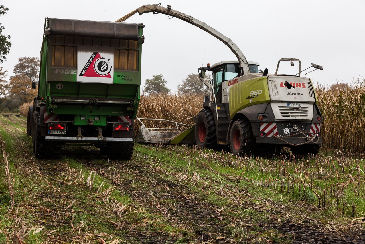 Bild 146 - Biogas am 21.10.12